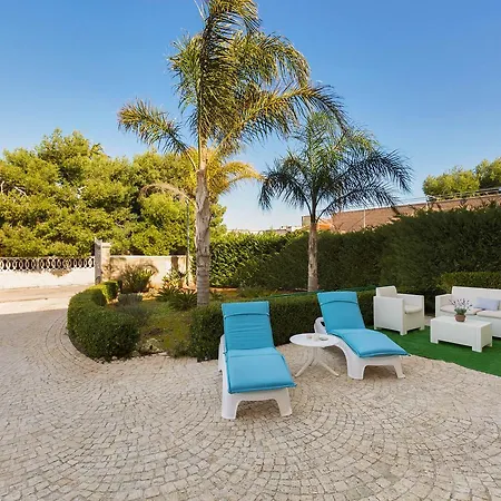 La Strea By Barbarhouse